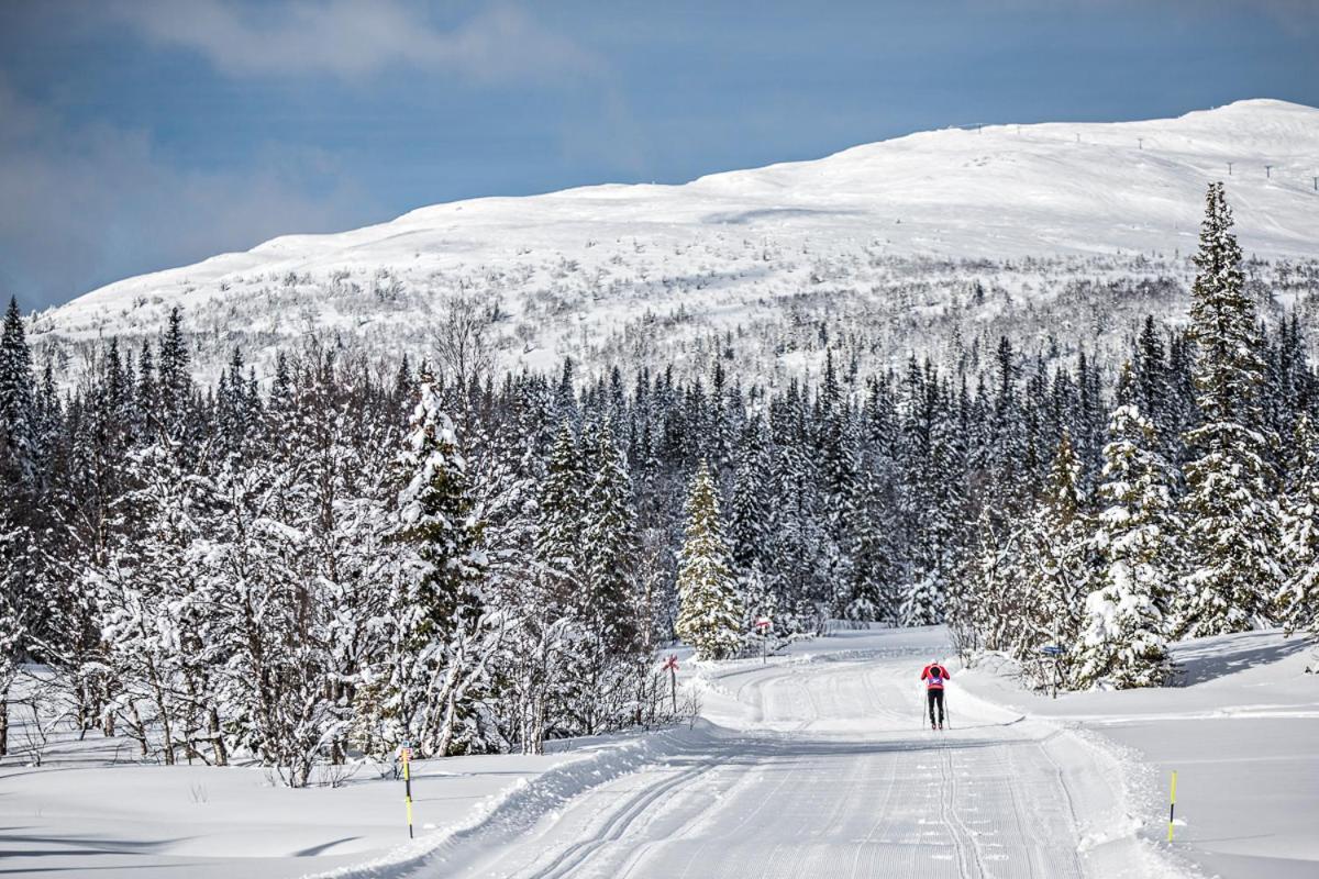 Koeja Fjaellhotell Edsasdalen Luaran gambar