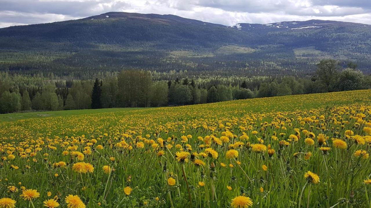 Koeja Fjaellhotell Edsasdalen Luaran gambar