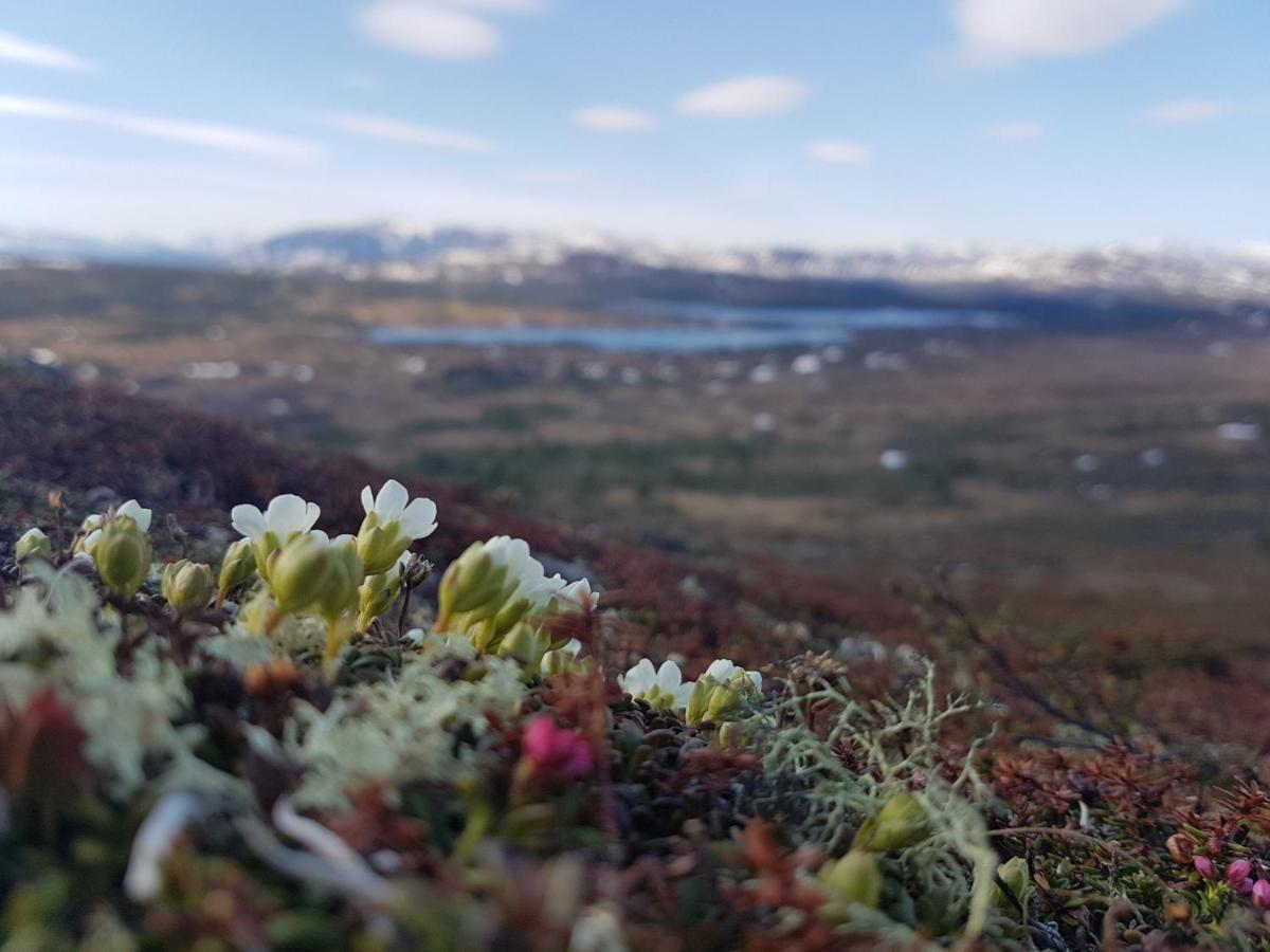 Koeja Fjaellhotell Edsasdalen Luaran gambar