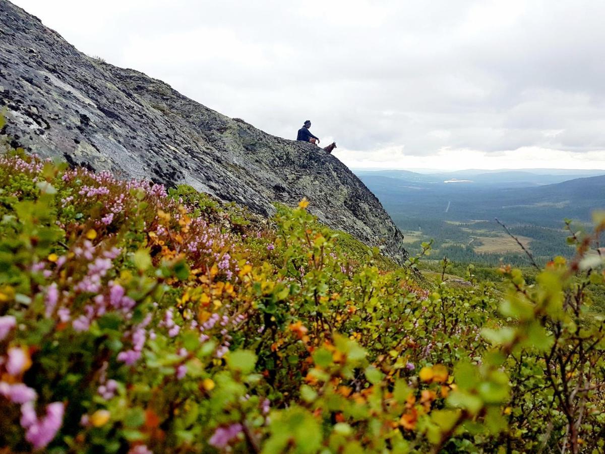 Koeja Fjaellhotell Edsasdalen Luaran gambar