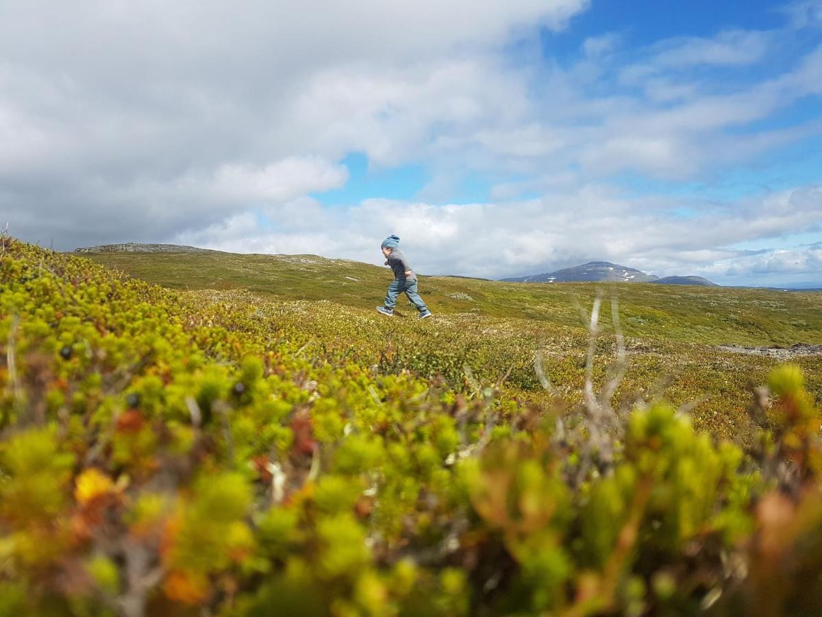 Koeja Fjaellhotell Edsasdalen Luaran gambar
